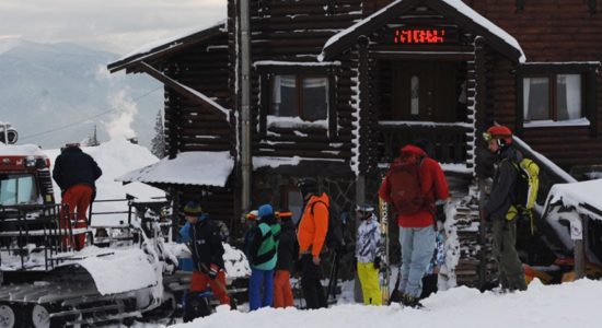 Dragobrat catski i dragobrat